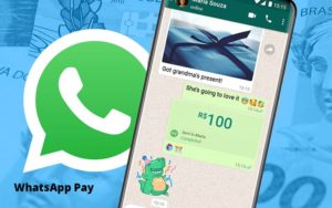 Entenda Os Impactos Do Whatsapp Pay Para O Seu Negocio - Pontual Consultoria Financeira