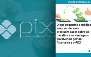 O Que Pequenos E Medios Empreendedores Precisam Saber Sobre Os Desafios E As Vantagens Envolvendo Gestao Financeira E O Pix  - Pontual Consultoria Financeira