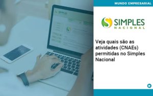 Veja Quais Sao As Atividades Cnaes Permitidas No Simples Nacional - Pontual Consultoria Financeira