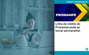 Linha De Credito Do Pronampe Pode Se Tornar Permanente - Pontual Consultoria Financeira