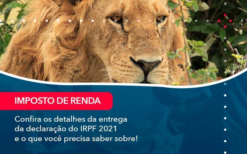 Confira Os Detalhes Da Entrega Da Declaracao Do Irpf 2021 E O Que Voce Precisa Saber Sobre 1 - Pontual Consultoria Financeira