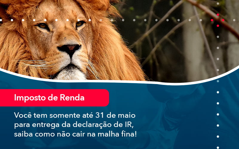 Voce Tem Somente Ate 31 De Maio Para Entrega Da Declaracao De Ir Saiba Como Nao Cair Na Malha Fina 1 - Pontual Consultoria Financeira