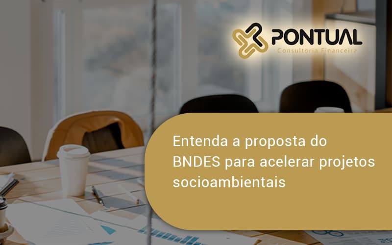 Entenda Como O Bndes Promete Acelerar Projetos Que Possuam Reflexos Socioambientais E Prepare Se Para Crescer Pontual - Pontual Consultoria Financeira