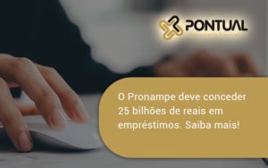 O Pronampe Deve Conceder 25 Bilhões De Reais Em Empréstimos. Saiba Mais! Pontual - Pontual Consultoria Financeira