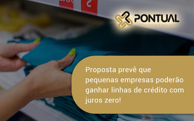 Proposta Prevê Que Pequenas Empresas Poderão Ganhar Linhas De Crédito Com Juros Zero! Pontual - Pontual Consultoria Financeira