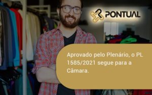 Aprovado Pleno Plenario O Pl 15852021 Segue Para A Camara Pontual - Pontual Consultoria Financeira