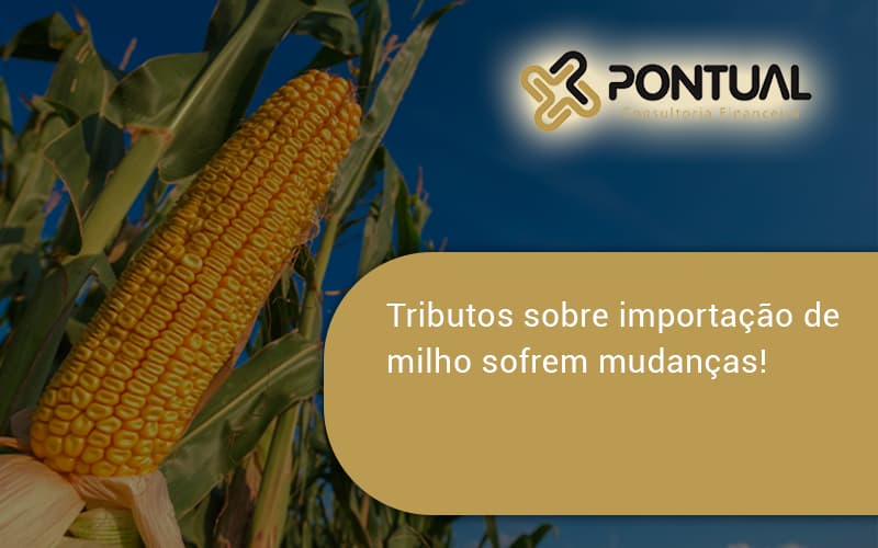 Tributos Sobre Importação De Milho Sofrem Mudanças! Pontual - Pontual Consultoria Financeira