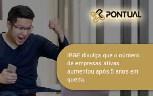 Ibge Divulga Que Numero De Empresa Ativas Aumentou Pontual - Pontual Consultoria Financeira